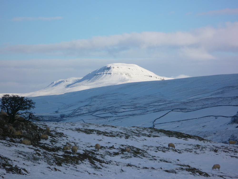 Penyghent